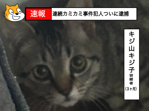 連続カミカミ事件犯人ついに逮捕