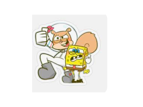 I SHIP THEM.