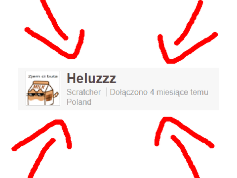4 miesiące na scratch