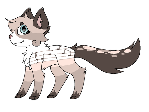 ˖ ָ࣪➹ Dynamic'Paw˖ ָ࣪➹