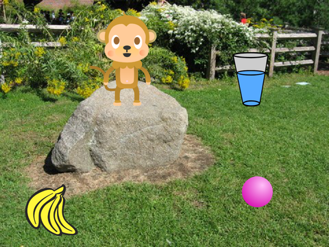 virtual pet
