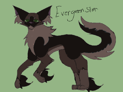 Evergreenstar - SSWCRP