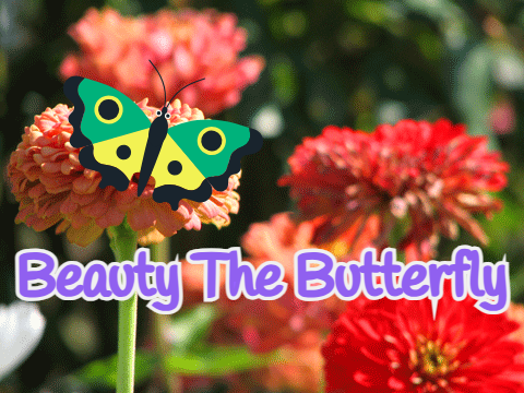 Beauty The Butterfly