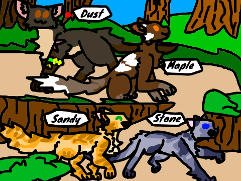 A Cat Drawing