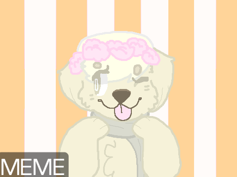 Wonderfilled | MEME remix