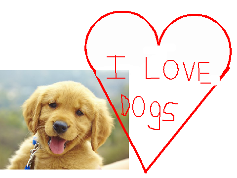 Dogs!!
