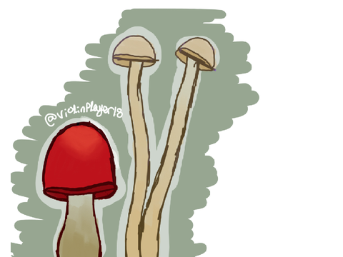 [entry] 40+ Followers Mushroom Art Contest! 