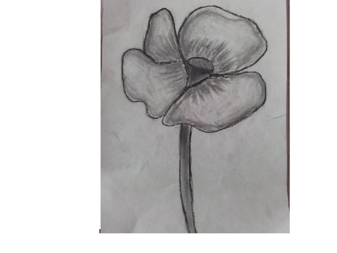 First coal drawing