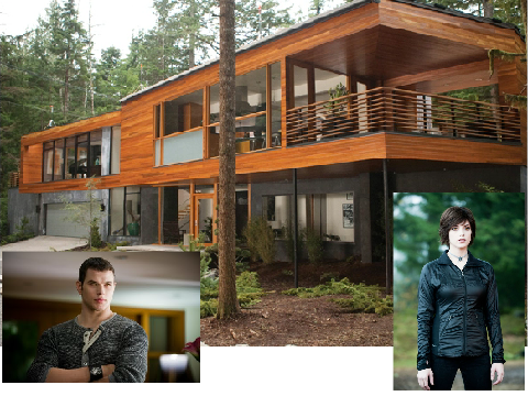 Alice and Emmett Cullen