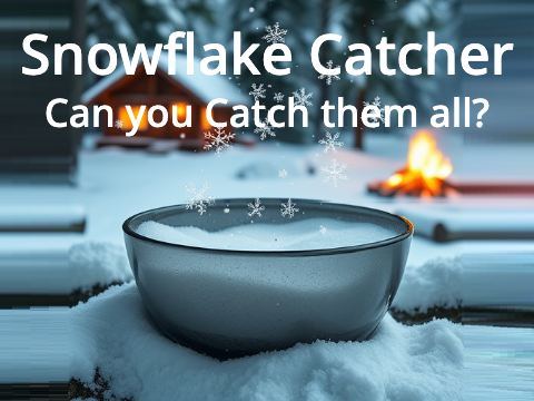 Snowflake Catcher