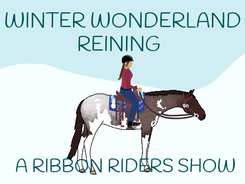 RR Winter Wonderland Reining - Entry