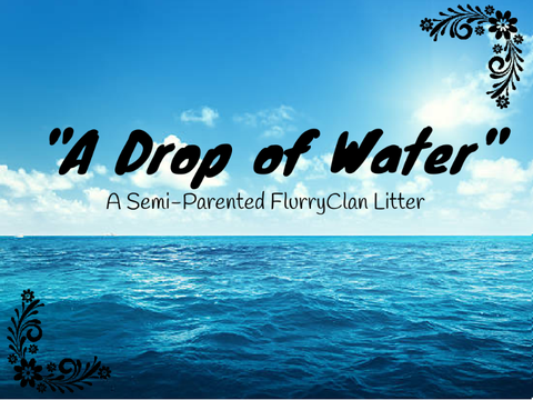A Drop of Water {S} Parented Litter