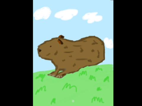 Capybara
