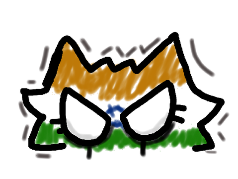 India cat for @EagleRise101