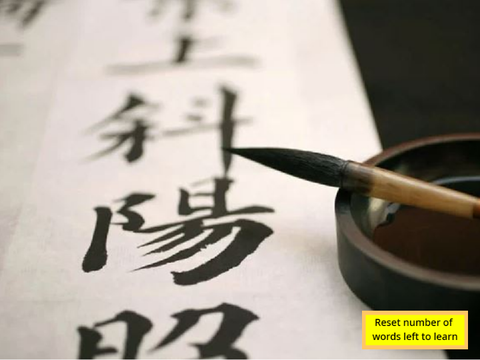 Alex Practice Learning and Writing Chinese!