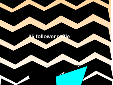 35 follower raffle