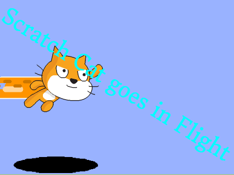 Scratch Cat goes in Flight