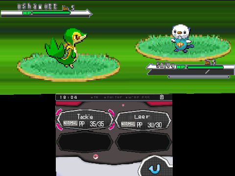 pokémon b&w versions 