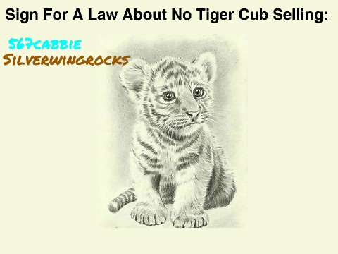 CLICK THIS NOW- SAVE THE TIGERS! remix