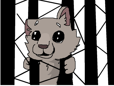 #BANFUR