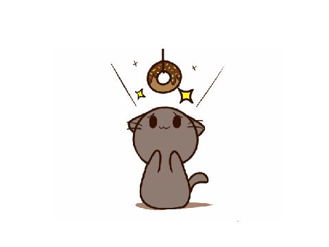 Cute Cat!