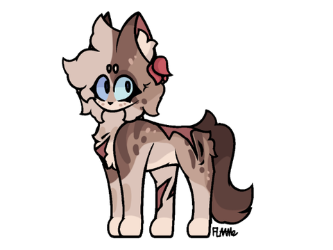 Mallowsplash - TCC
