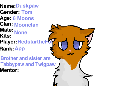 Warriors Rp Signups remix- Duskpaw