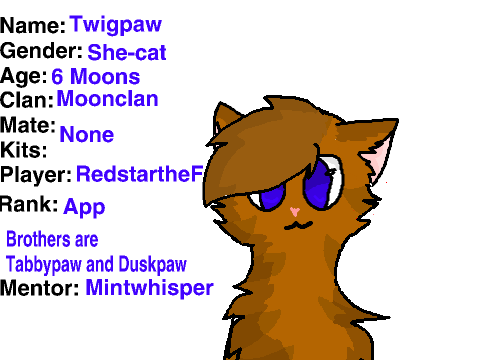 Warriors Rp Signups remix- Twigpaw