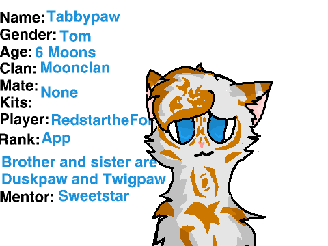Warriors Rp Signups remix- Tabbypaw