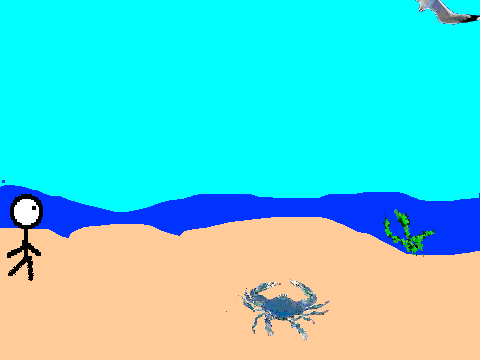 Beach habitat