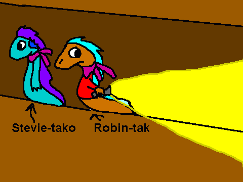 add your tokis look on toki mystery dungeon[1]