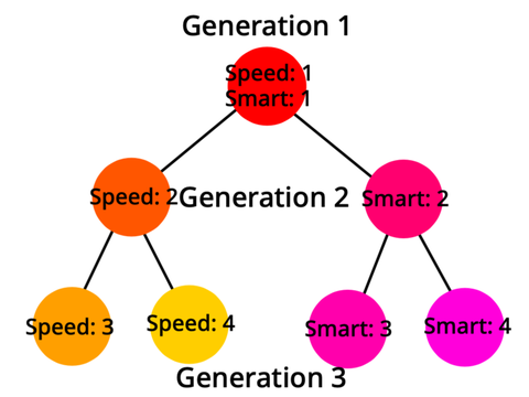 Evolution