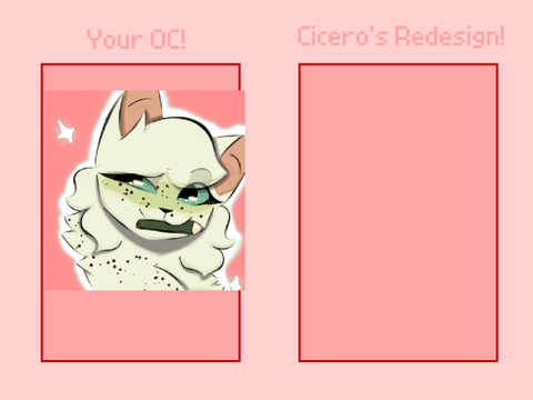 REDESIGN Plz