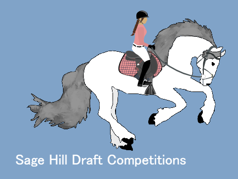 Sage Hill Draft Competitions Entries