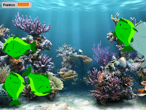 Banquete de peces