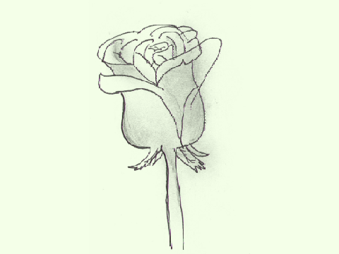 Drawing Contest! :) 2013 entry