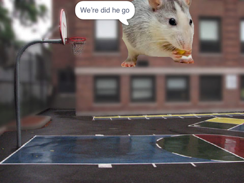 Rat and mouse pt4