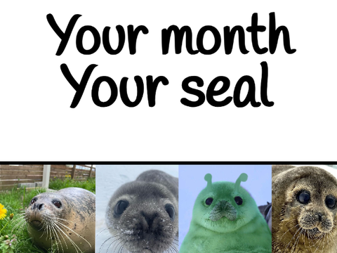 Your month, your seal :3