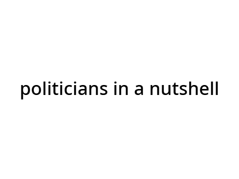politicians in a nutshell