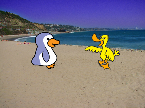 Duck and penguin fishing