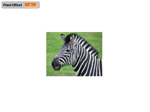 Zebra for TDTG