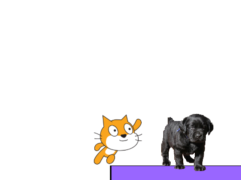 scratch cat pulls a prank
