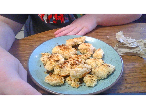 the homemade chicken nuggets I cooked myself