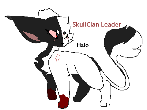 Skullclan cats (TW)