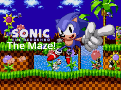Sonic The Hedgehog Maze!