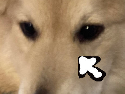 Dog clicker  v2