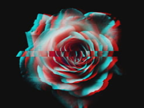 008 .·:*¨¨* ≈☆≈*:·.+ Questions for the world