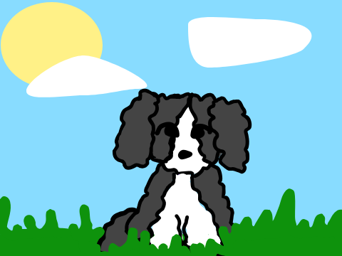 doggyy :DDD