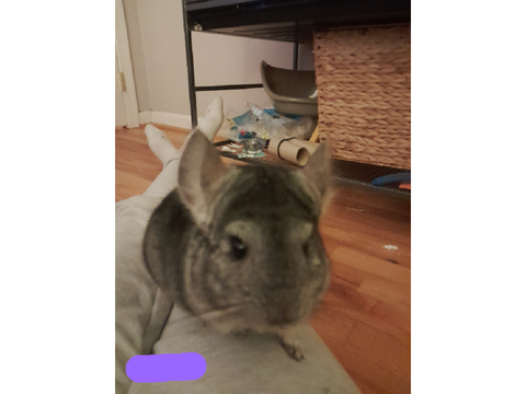 Basil!!!