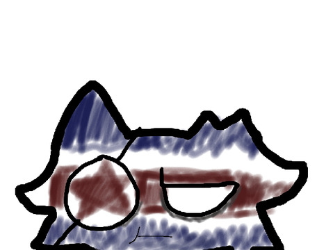 North Korea cat for @DPR-Korea